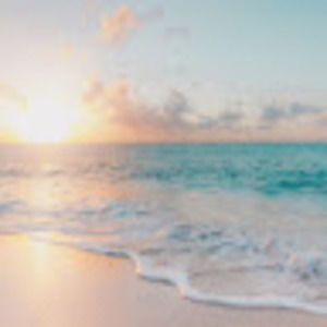 Meet your Posher, Abby leung